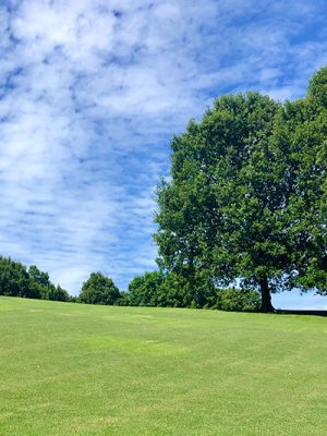 Brainstorming in the Park